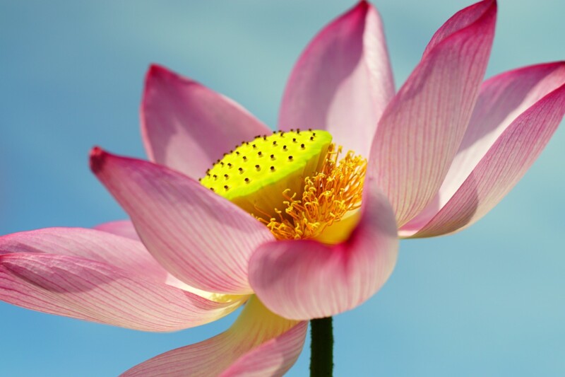Praktische spiritualiteit: bezieling en bezinning voor in je dagelijks leven